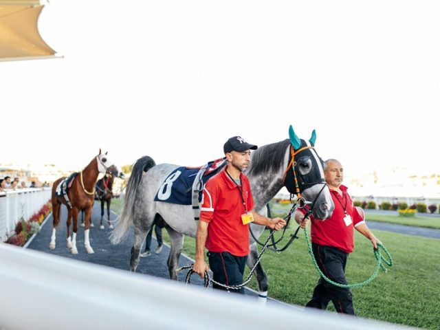 How Website Speed Impacts Lead Quality